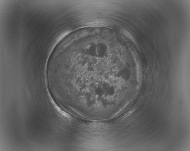 X0000054411087200508121719