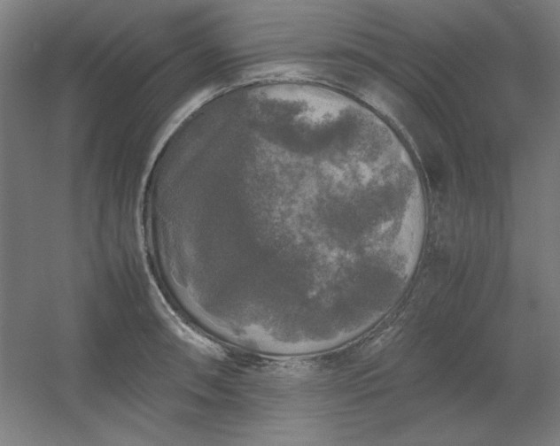 X0000054411090200508121719