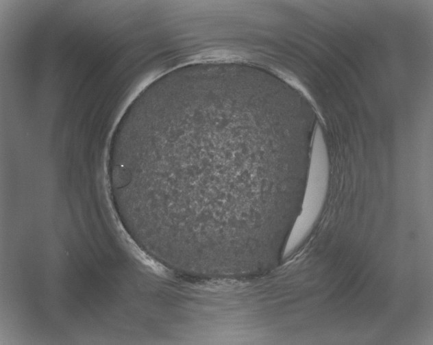 X0000054411091200508121719