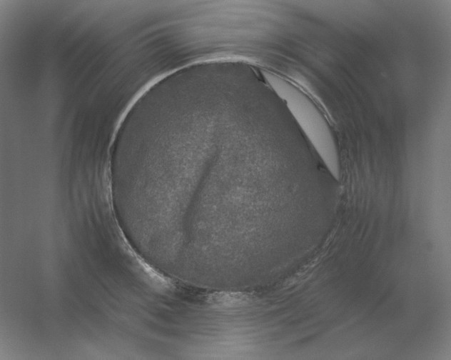 X0000054411092200508121719