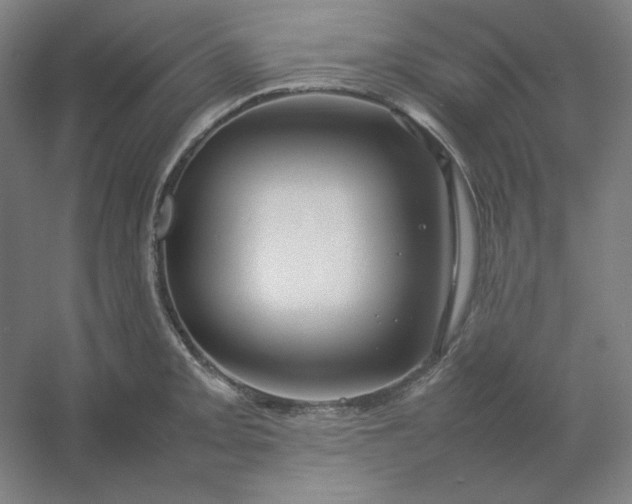 X0000054411093200508121719