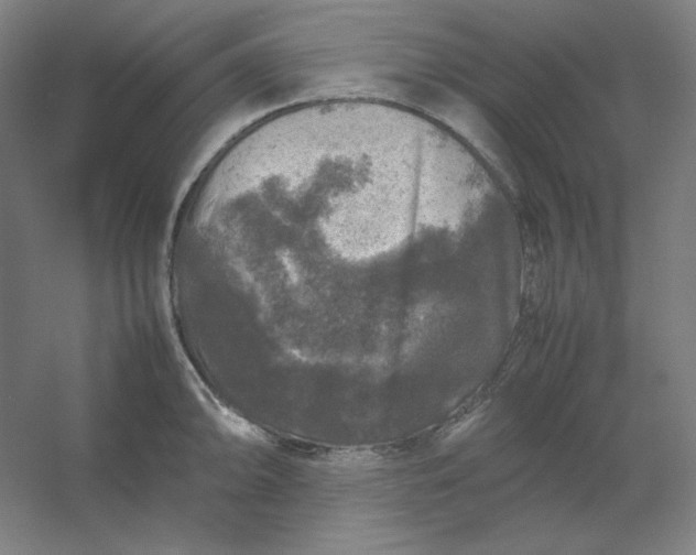 X0000054411094200508121719