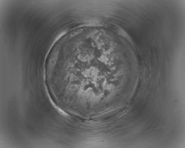 X0000054411095200508121719