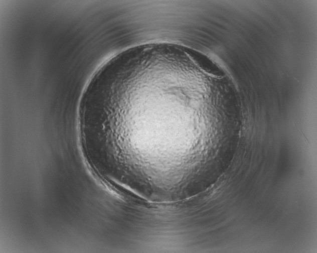 X0000054411096200508121719