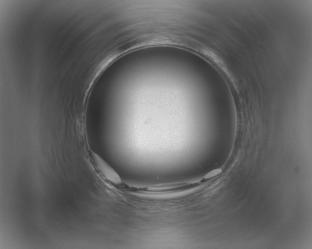 X0000054411097200508121719