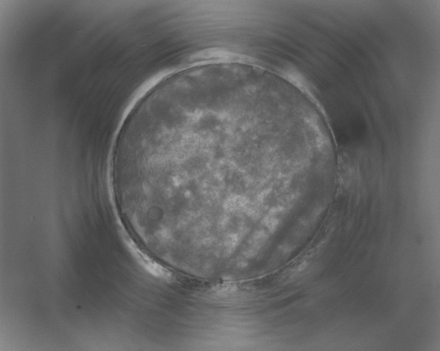 X0000054411098200508121719