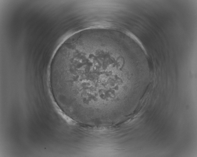 X0000054411099200508121719