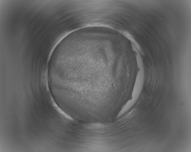 X0000054411100200508121718