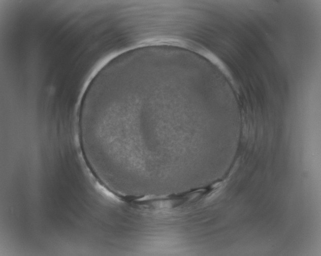 X0000054411102200508121718