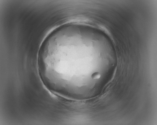 X0000054411103200508121718