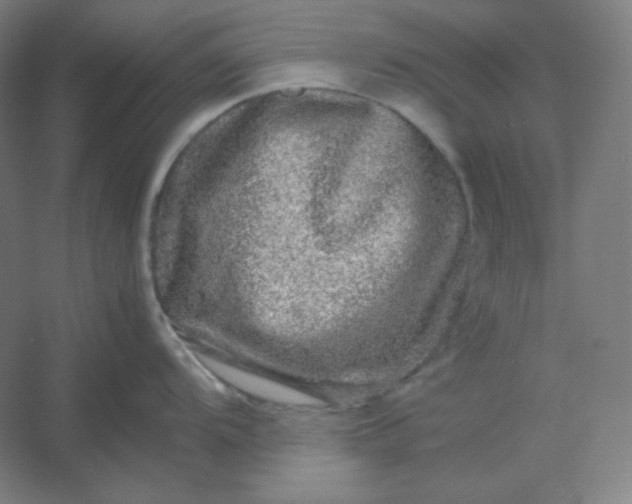 X0000054411104200508121718