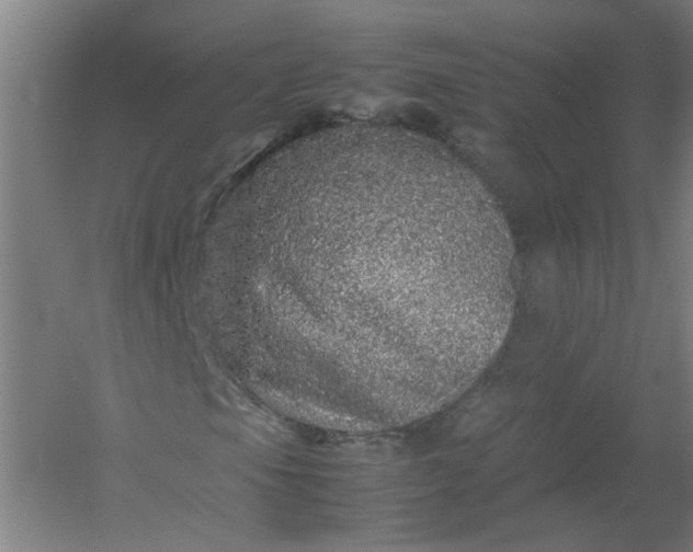 X0000054411105200508121718