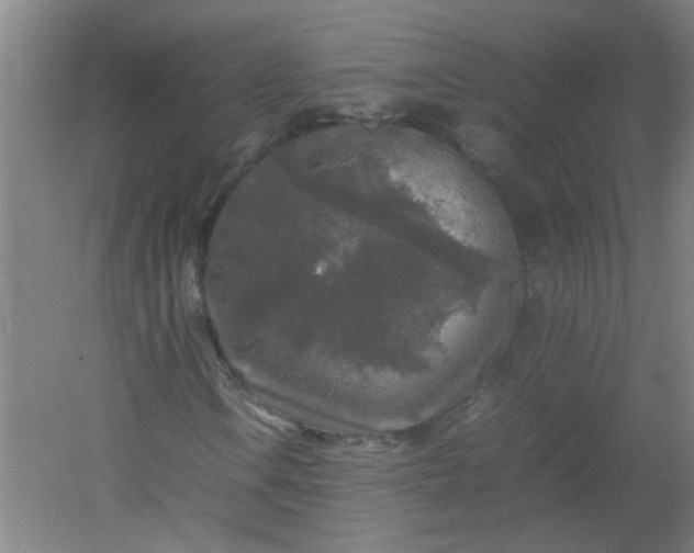 X0000054411106200508121718