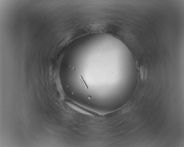 X0000054411107200508121718