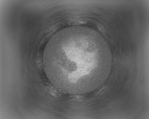 X0000054411109200508121718