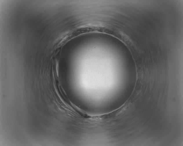 X0000054411110200508121718