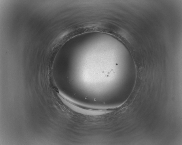 X0000054411111200508121718