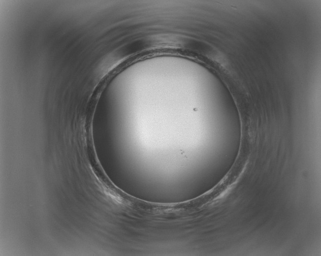 X0000054411113200508121718