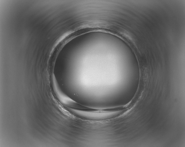 X0000054411114200508121718