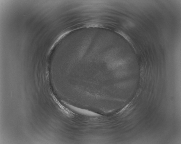 X0000054411115200508121718