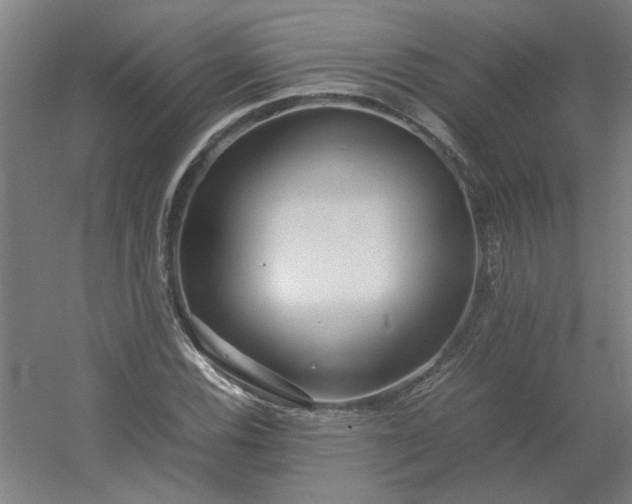 X0000054411116200508121718