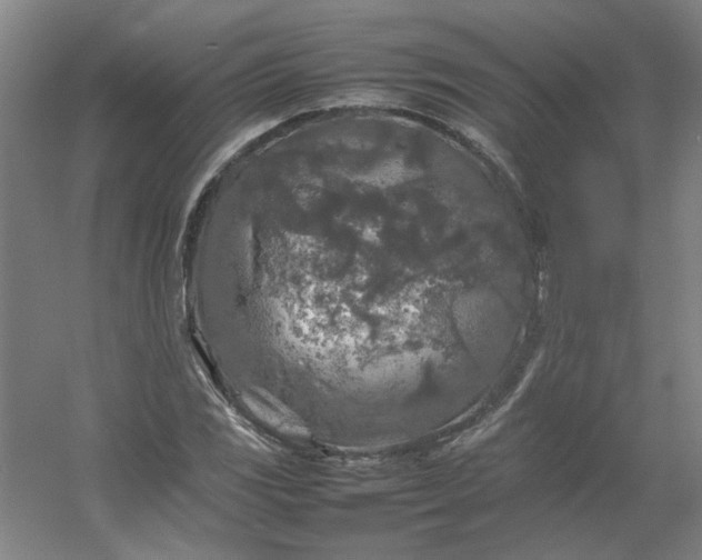 X0000054411117200508121718