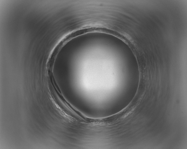 X0000054411118200508121718