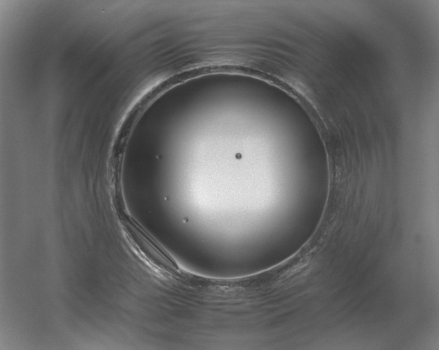 X0000054411119200508121718