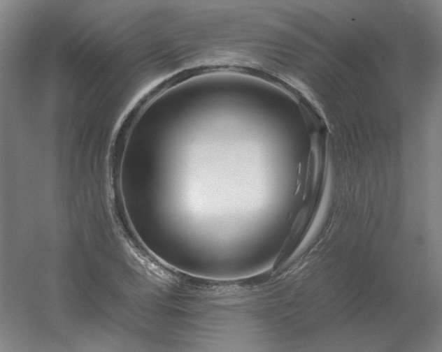 X0000054411120200508121718