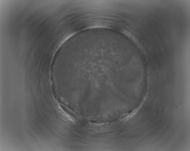 X0000054411121200508121718