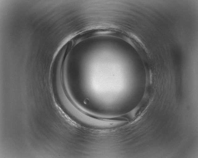 X0000054411122200508121718