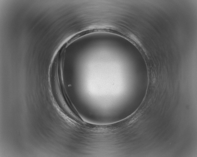 X0000054411124200508121718