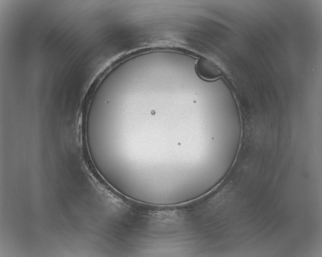 X0000054411126200508121718