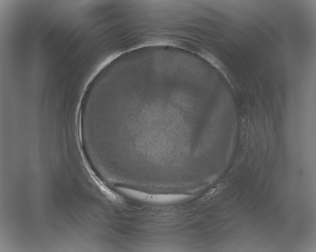 X0000054411127200508121718