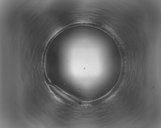 X0000054411129200508121718