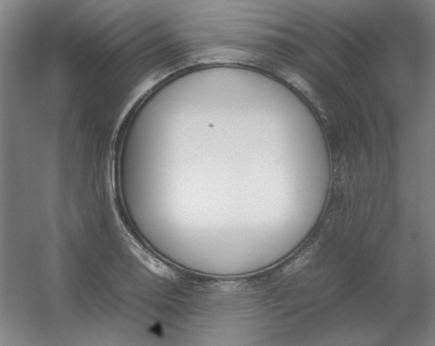 X0000054411130200508121718