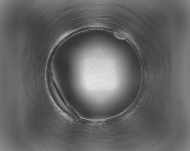 X0000054411133200508121718