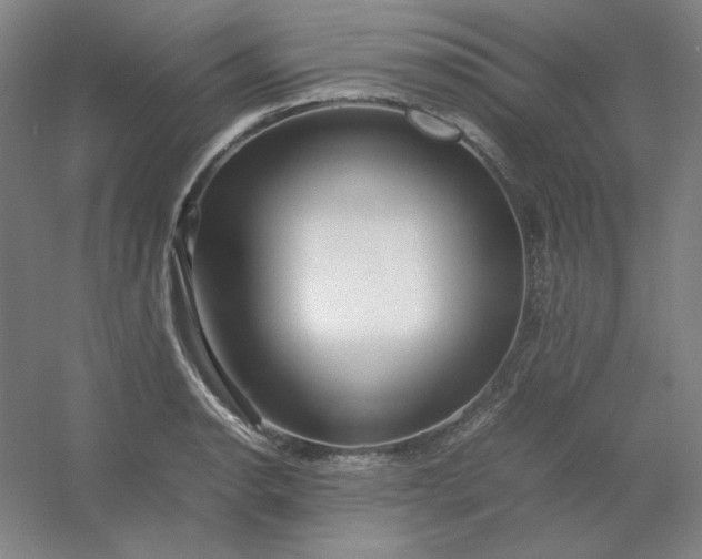 X0000054411134200508121718