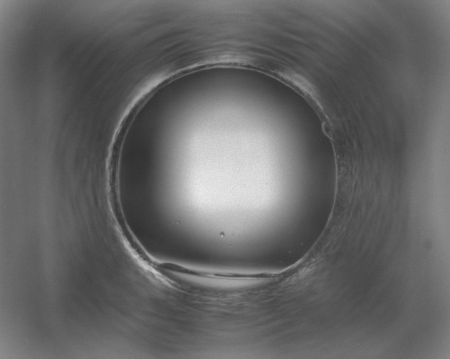 X0000054411135200508121718