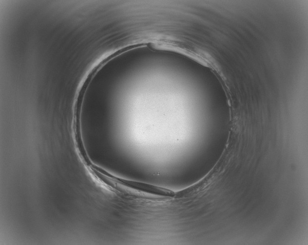 X0000054411136200508121718