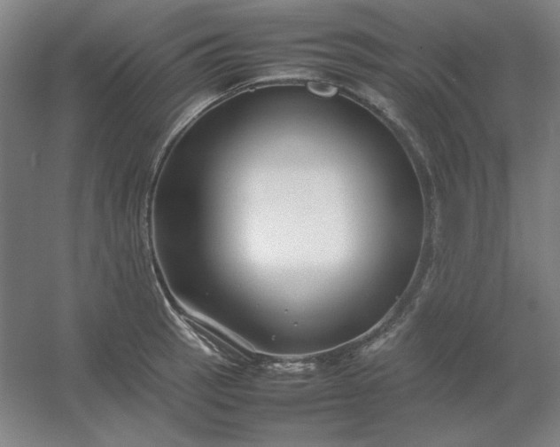 X0000054411137200508121718