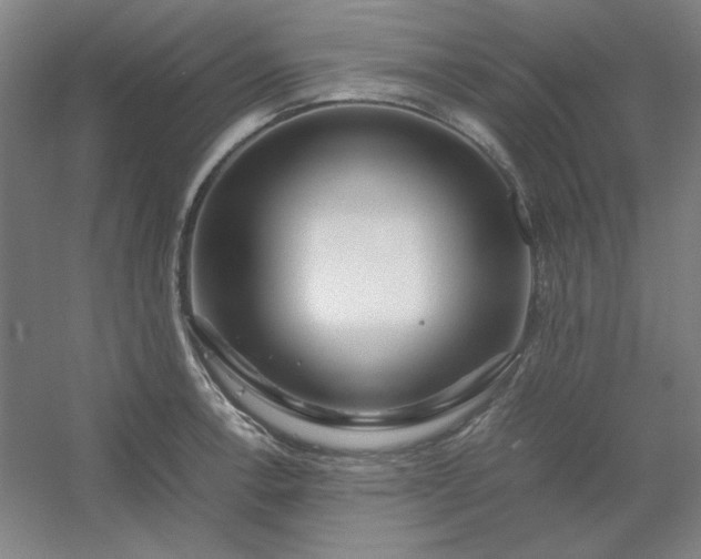 X0000054411138200508121718