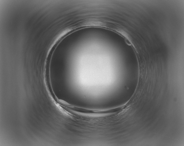 X0000054411139200508121718