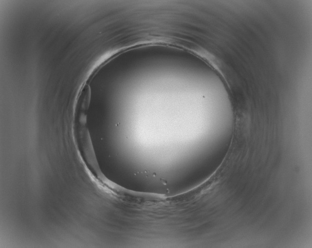 X0000054411143200508121718