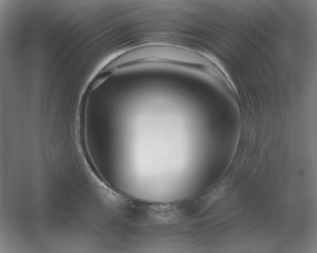 X0000054411147200508121718