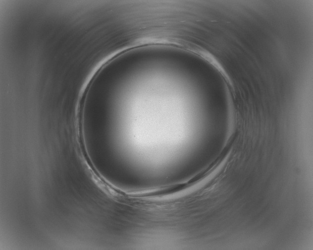 X0000054411148200508121718