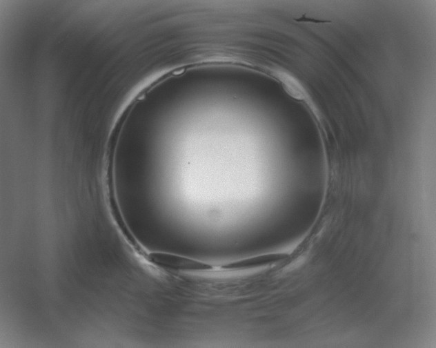 X0000054411149200508121718