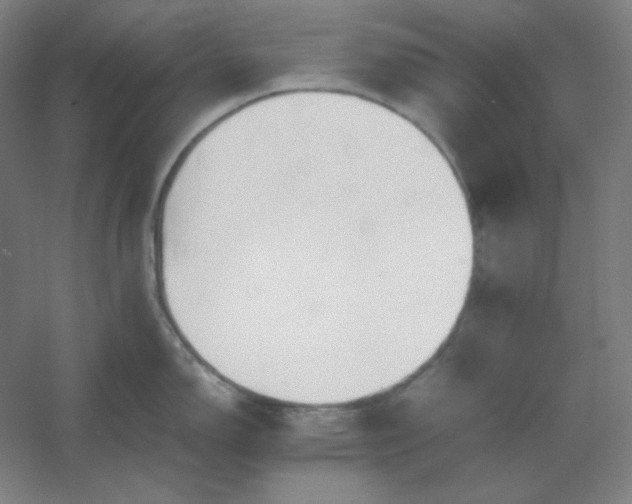 X0000054411150200508121718