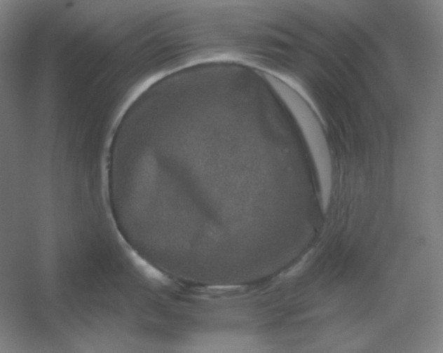 X0000054411151200508121718