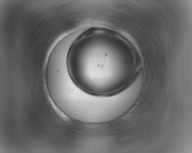 X0000054411152200508121718